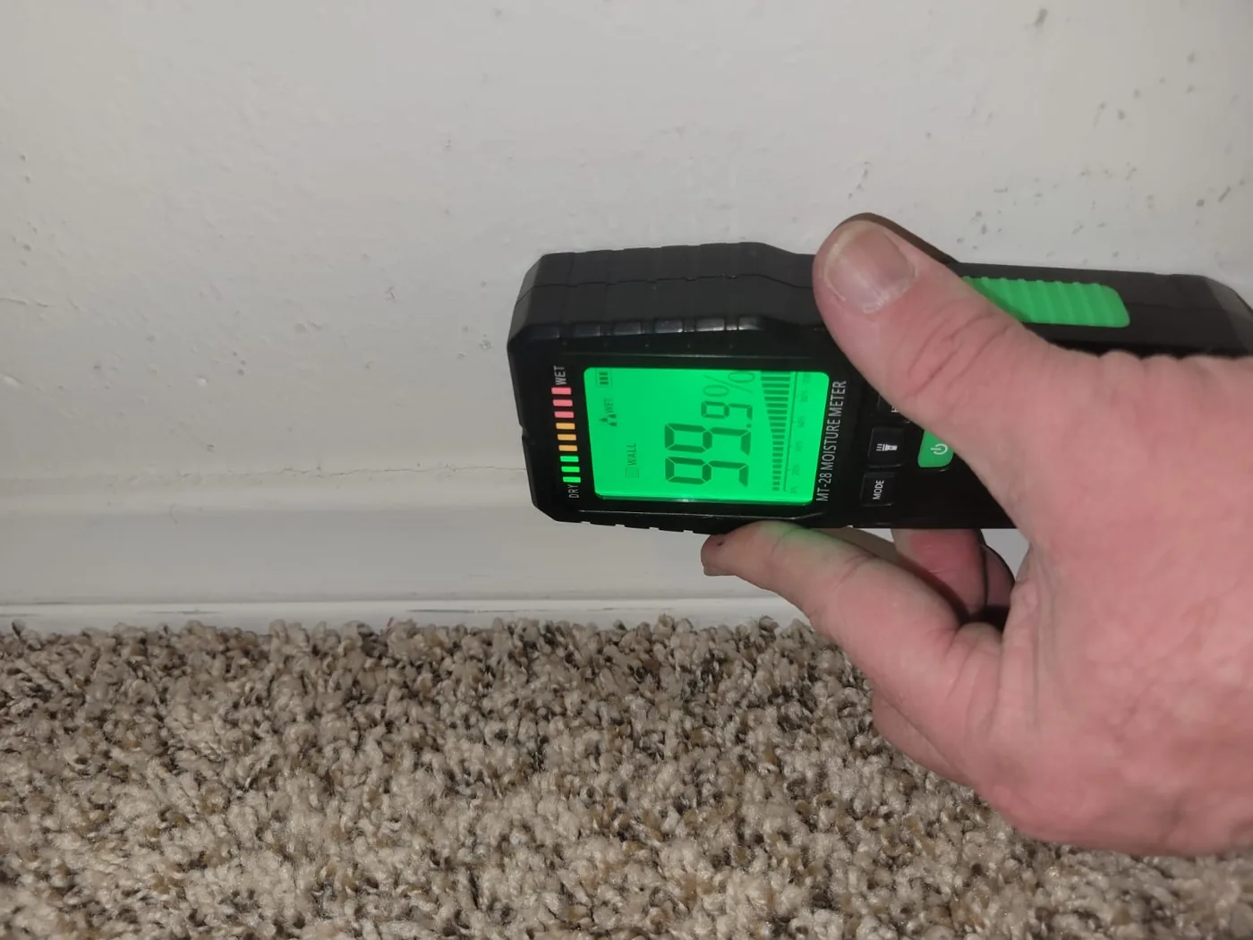 Mold & Allergy moisture meter reading 99.9% against an interior wall during an inspection — finding the water before the mold.